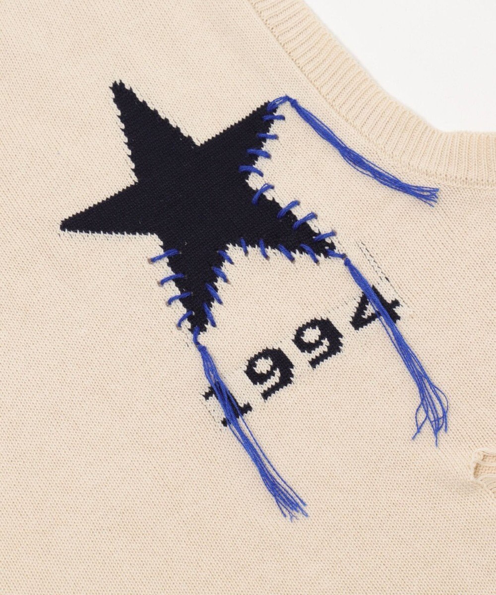 WEGO ダメージチルデンベスト 