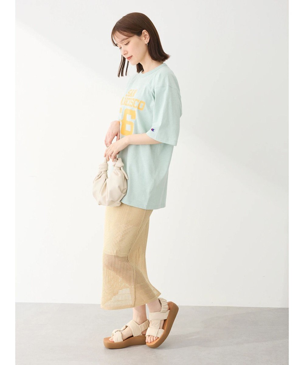 Green Parks ■Ｃｈａｍｐｉｏｎ　フットボールＴ 