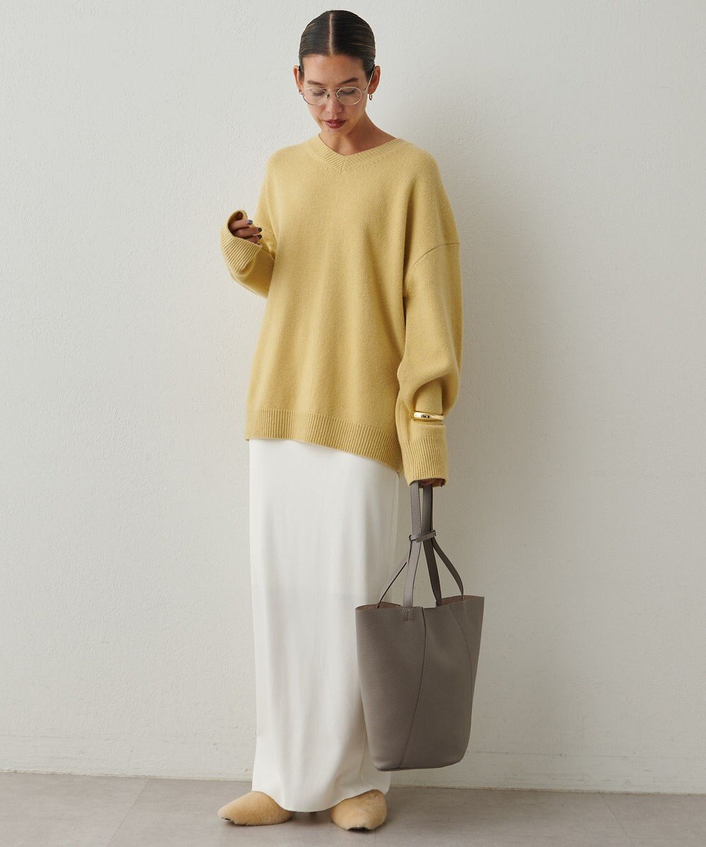 IACUCCI ノード CERVO 