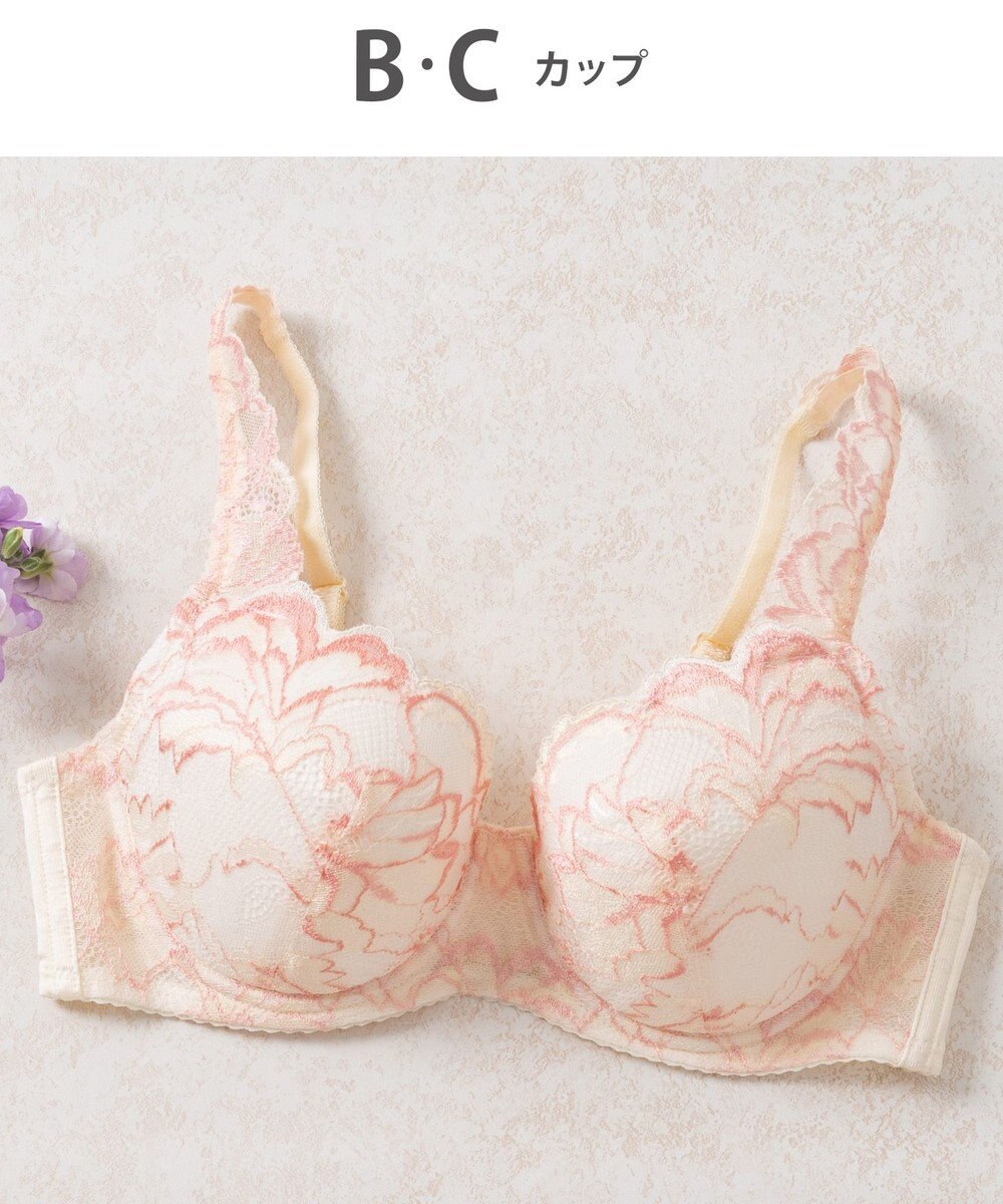 Wing Wing Lesiage 【3000シリーズ】 PB3000 ウイング／ワコール 