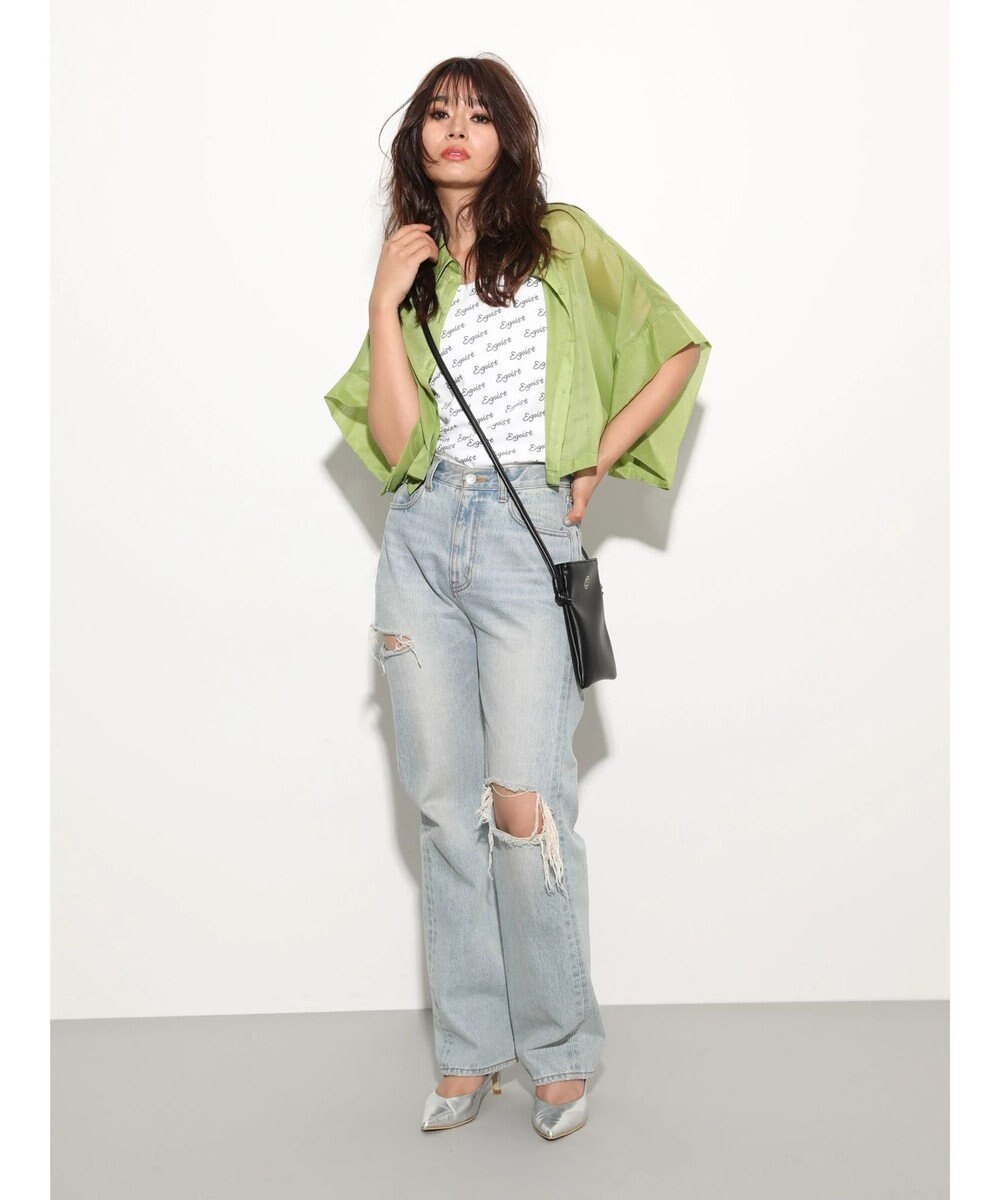 Green Parks ＥＧＯＩＳＴ　短丈シアーシャツ 