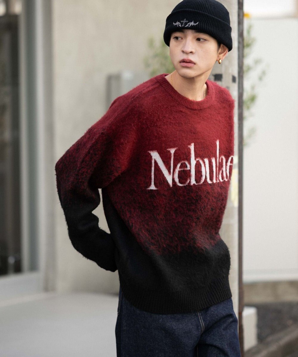 WEGO 【ユニセックス着用ITEM/MLサイズ展開】ファジーグラデーションプルオーバー 