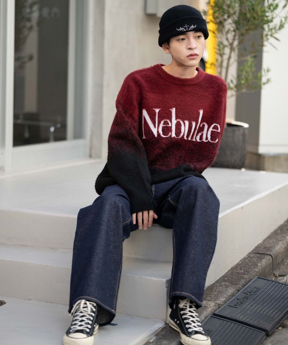 WEGO 【ユニセックス着用ITEM/MLサイズ展開】ファジーグラデーションプルオーバー 