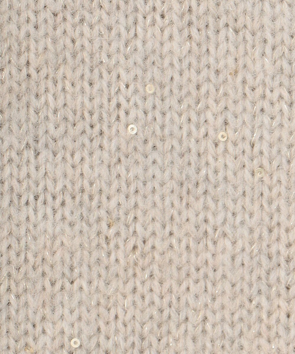 自由区 L 【洗える】ウールカシミヤブレンドラメスパンコールクルーネック ニット 