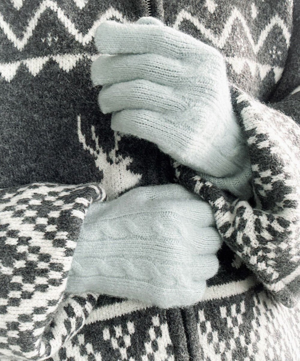 WEGO 【スマホ対応】ケーブル編みニットグローブ 