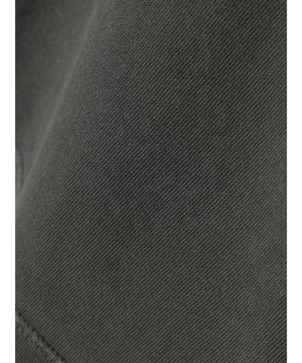 AMERICAN HOLIC フロッキーＰｔフェード加工Ｔ／Ｄｏｎａｌｄ 