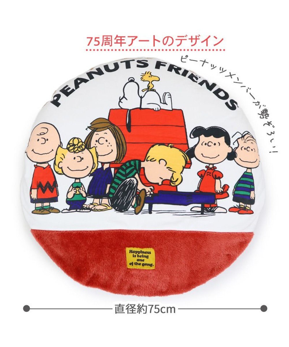 PET PARADISE スヌーピー 遠赤外線 一緒にぽかぽかマット 《赤屋根ハウス》 小型犬 