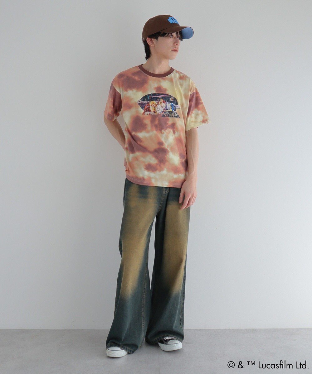 Green Parks ＳＴＡＲ　ＷＡＲＳ／刺繍ＣＡＰ 