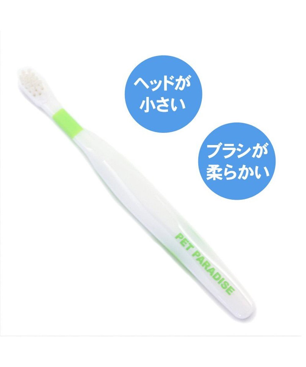 ペット用品 犬 猫 お手入れ ケア用品 ペットパラダイス 犬 歯ブラシ 曲がる 歯ブラシ ２本セット 全犬種対応 犬用歯ブラシ 猫用 ペット用 歯みがき はぶらし ハブラシ 犬 口 ケア 猫 口 ケア Pet Paradise ファッション通販 公式通販 オンワード クローゼット