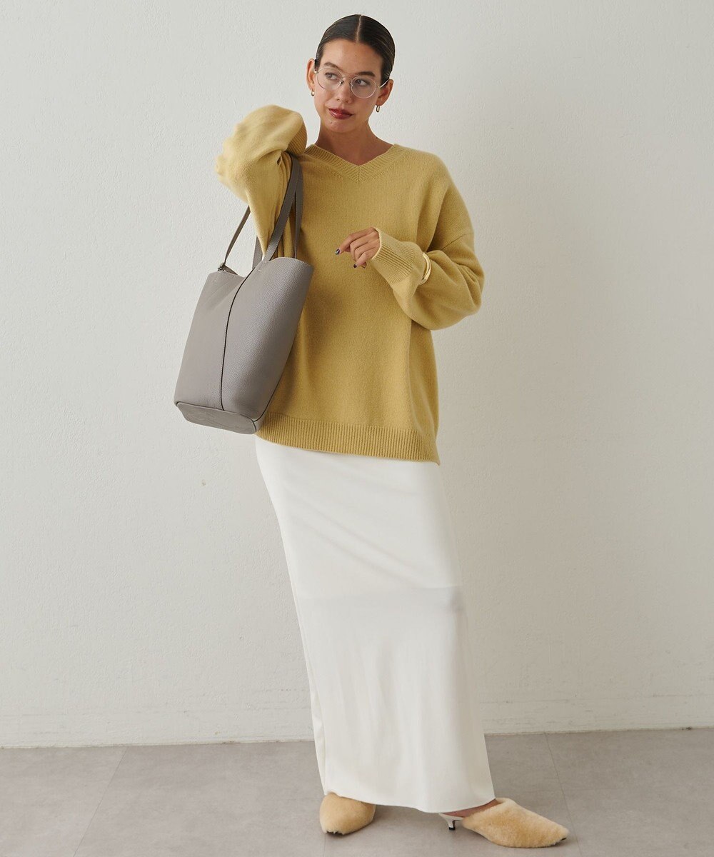 IACUCCI ノード CERVO 