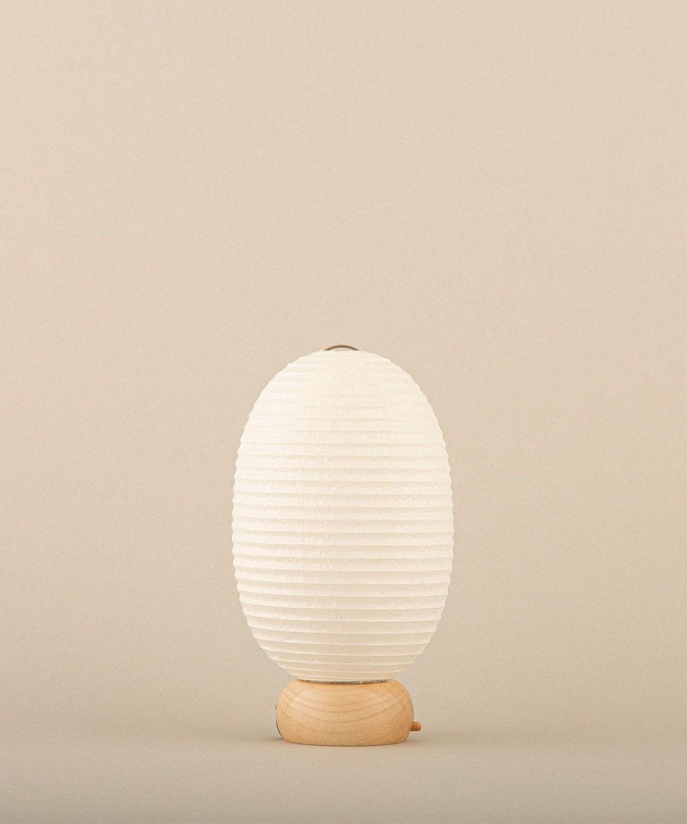 ちょうちん堂 【cocolan Muji】恐竜 ちょうちん ライト 