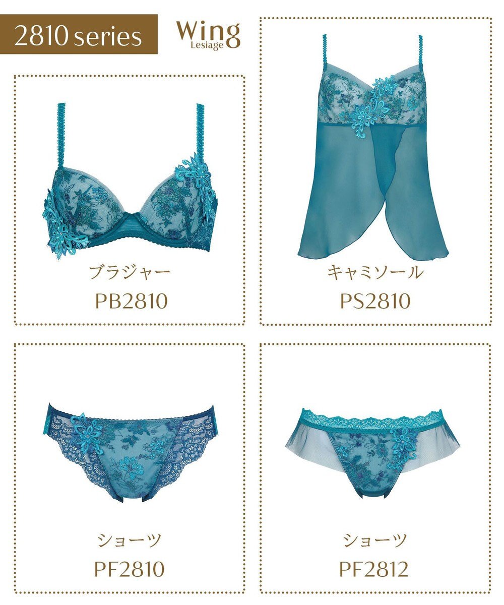 Wing Wing Lesiage　【2810シリーズ】　ブラジャー　ふっくらまる胸メイク　背中の段差軽減　ウイング／ワコール　PB2810 