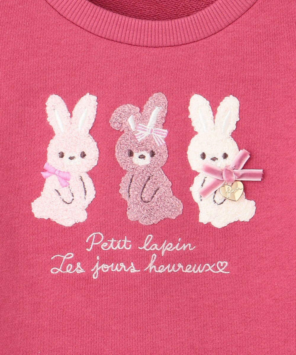 ANY KIDS 【らくっトレーナー】アニマル 裏毛 サガラ刺しゅう トレーナー 