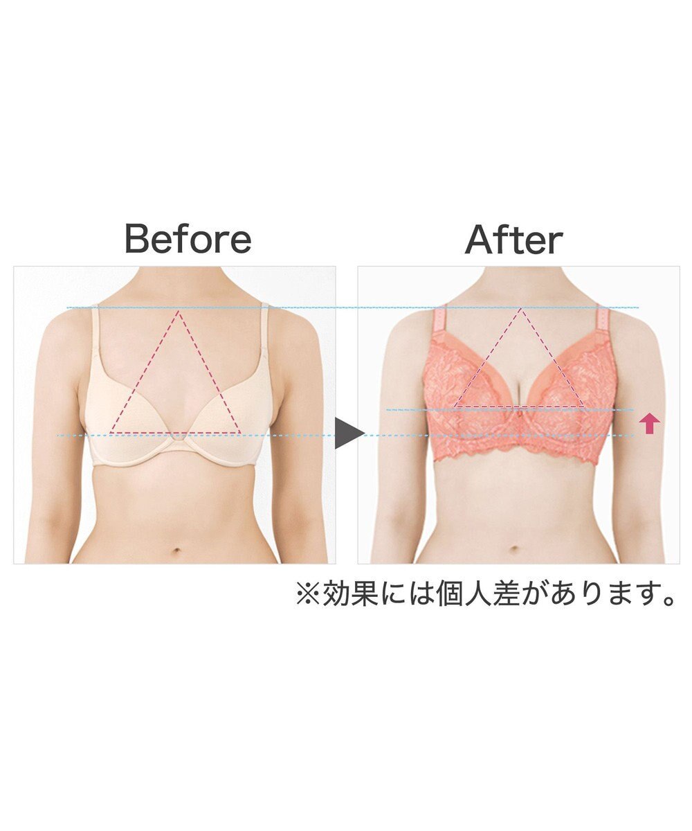 BRADELIS New York 【BRADELIS New York】レーシィミニマイザーブラ23A1 グラマーバストをコンパクトに見せる補正ブラ 