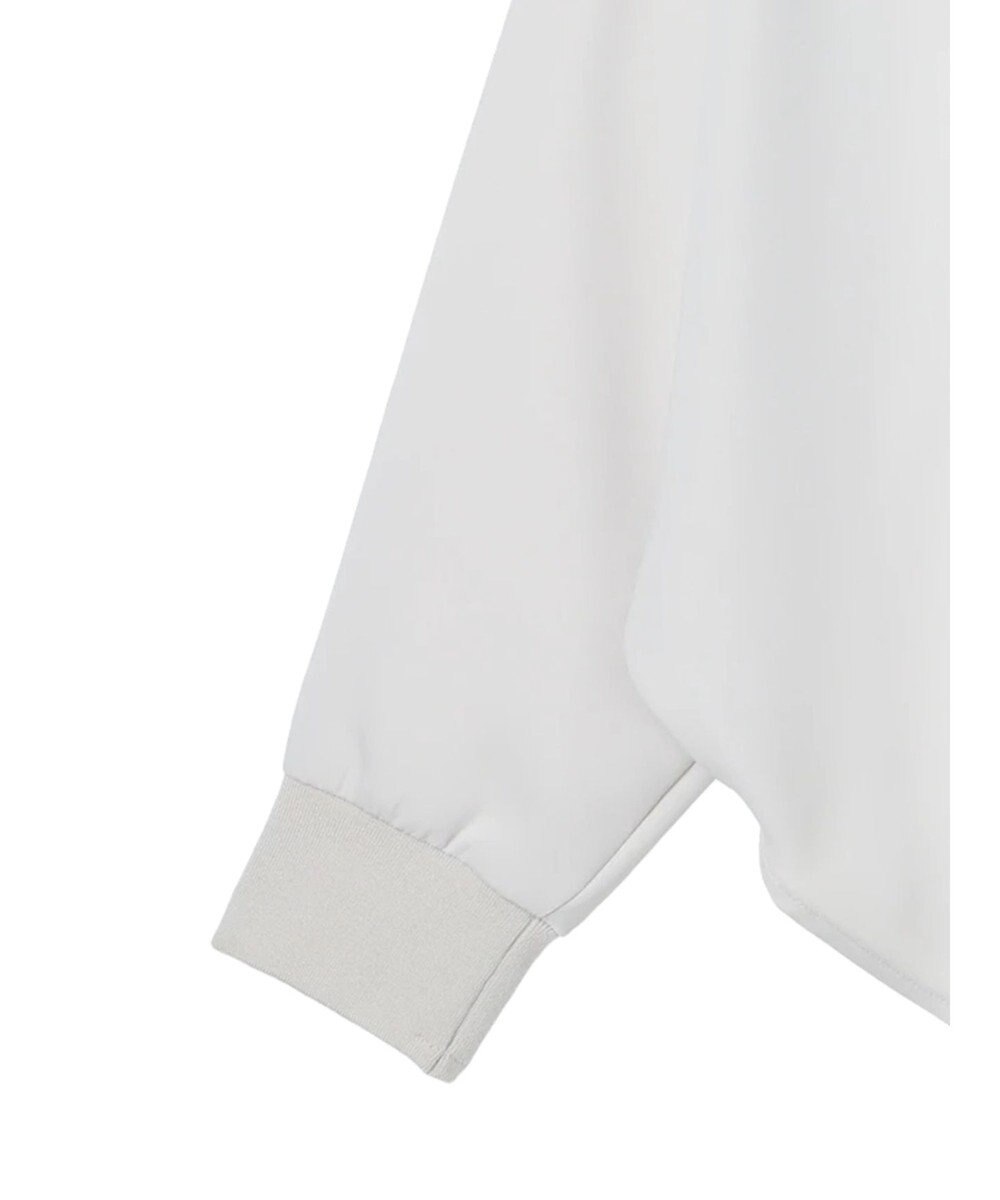 AMERICAN HOLIC イージーケアドルマンとろみブラウス 