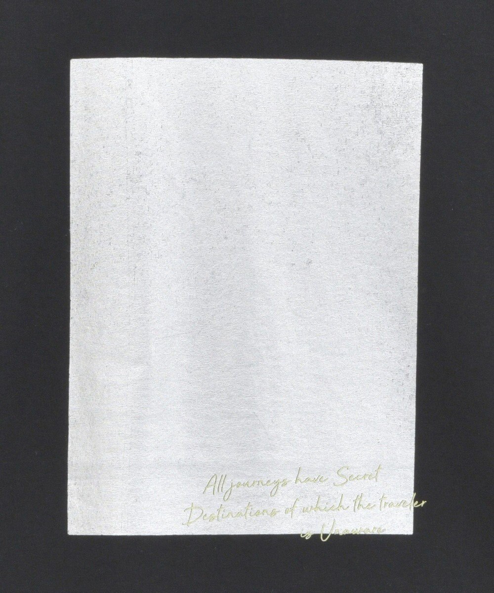 AMERICAN HOLIC ボックス箔プリントロングTシャツ 