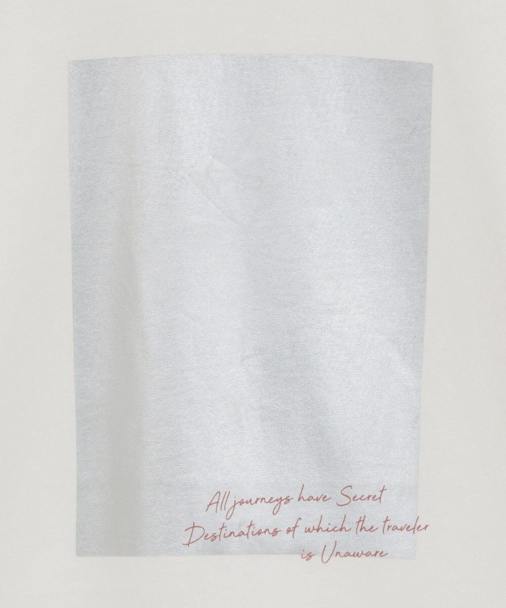 AMERICAN HOLIC ボックス箔プリントロングTシャツ 