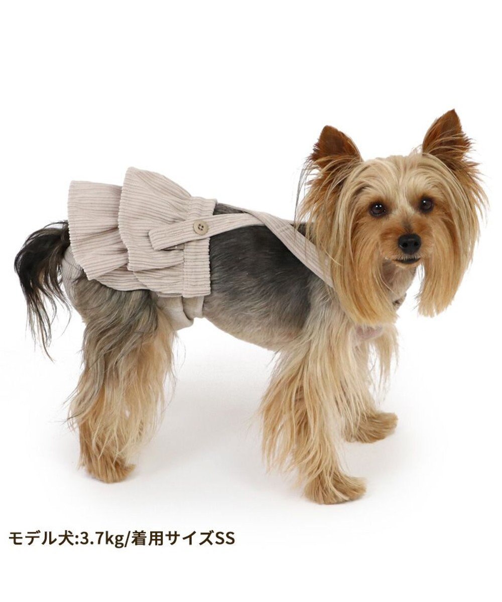 PET PARADISE ペットパラダイス フリフリ サニタリーパンツ 小型犬 
