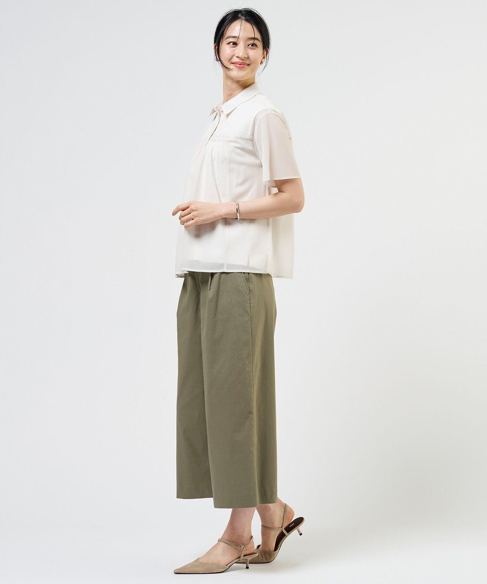 J.PRESS LADIES S シアードライトリコット シャツライク カットソー 