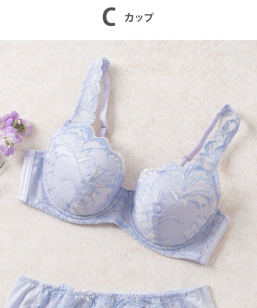 Wing Wing Lesiage 【3000シリーズ】 PB3000 ウイング／ワコール 