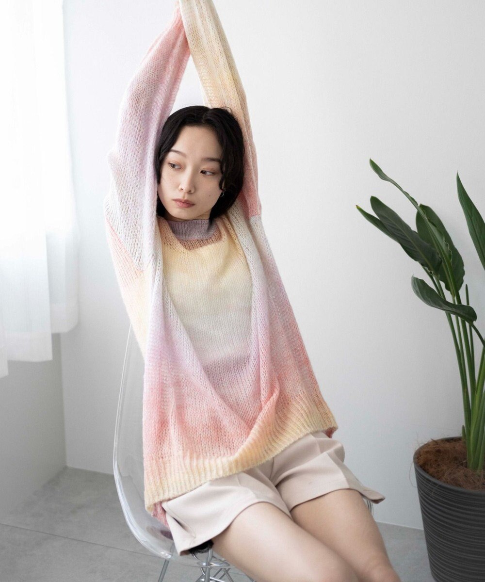 WEGO グラデーションメッシュニット 