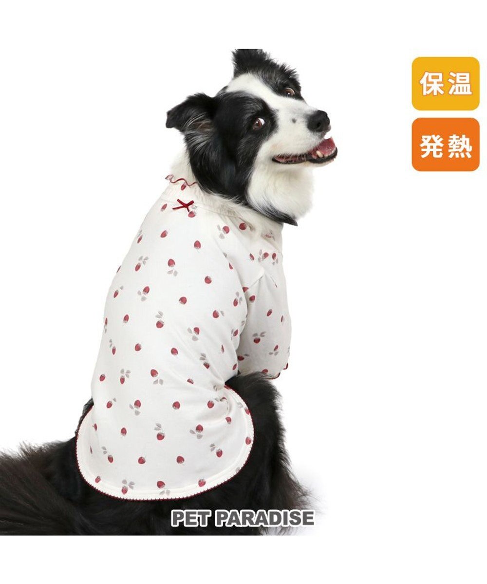 PET PARADISE ペットパラダイス ペティヒート Tシャツ 《苺柄》 中型犬 大型犬 苺柄