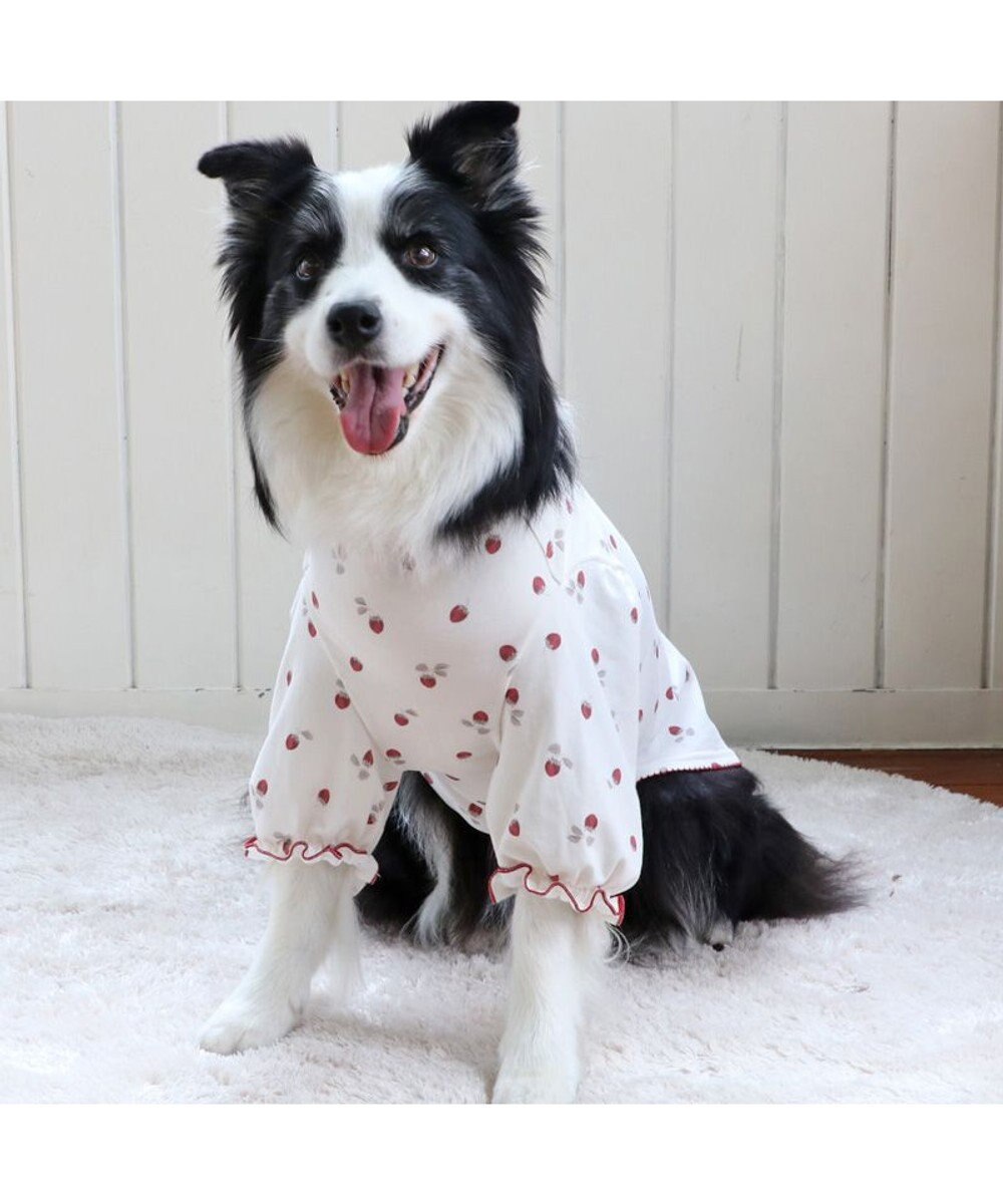 PET PARADISE ペットパラダイス ペティヒート Tシャツ 《苺柄》 中型犬 大型犬 
