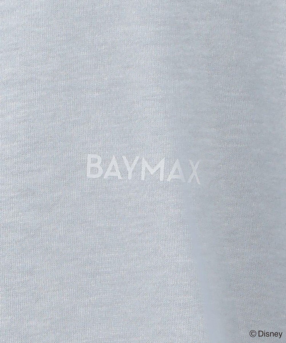 Green Parks １０ｔｈベイマックス／ドッキングプルオーバー 