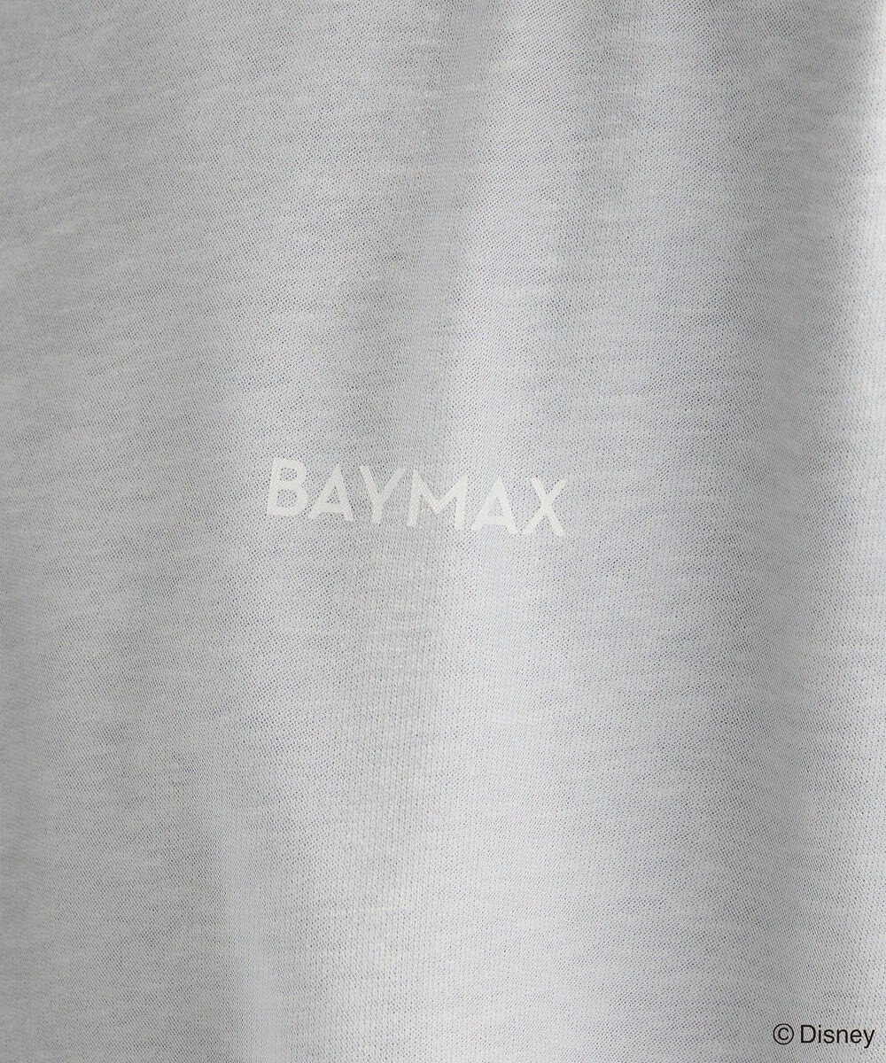 Green Parks １０ｔｈベイマックス／ドッキングプルオーバー 