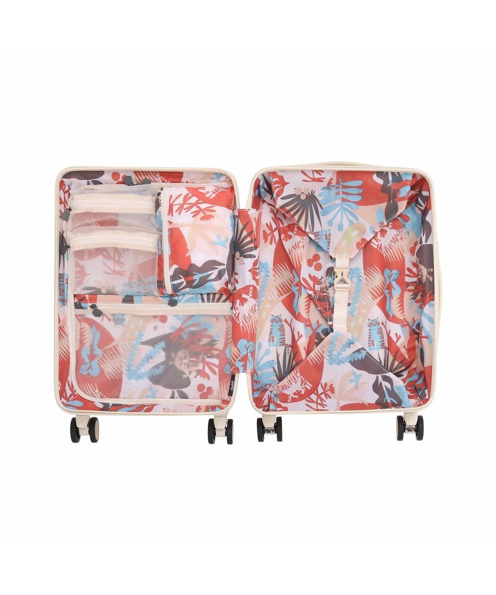 ACE BAGS & LUGGAGE HaNT ヘイヘイTR スーツケース 40L 機内持込  05180 ハント 