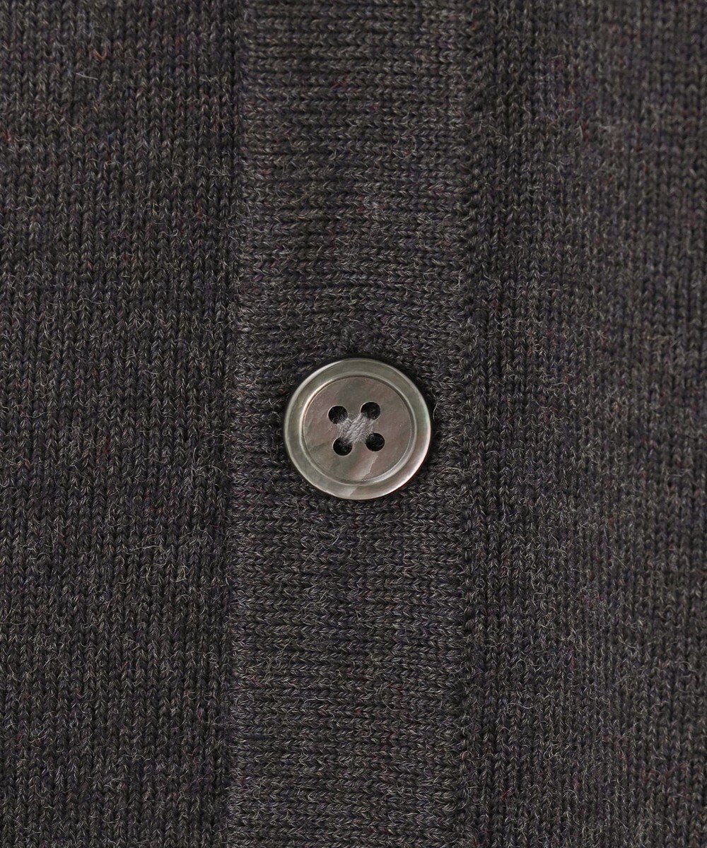 GOTAIRIKU 【家庭洗濯可能】イタリア糸 ハイゲージ ベスト 