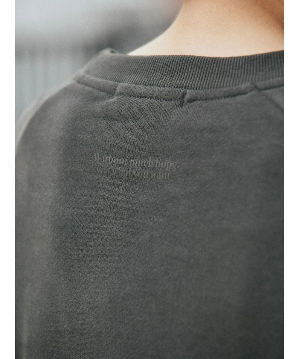 AMERICAN HOLIC ラグランロゴスウェット2 