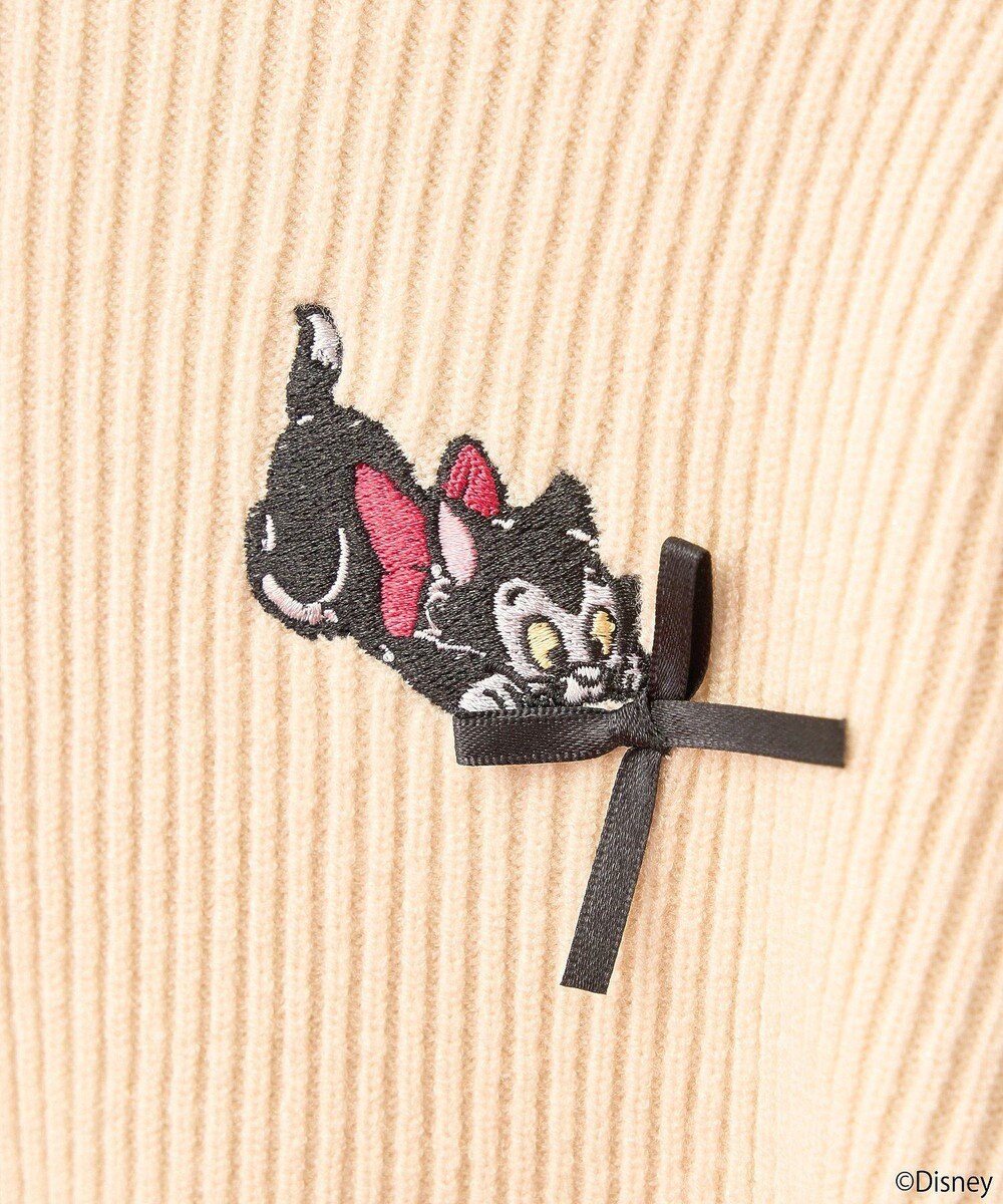 earth music&ecology Ｄｉｓｎｅｙ／フィガロ刺繍袖フェザーニット 