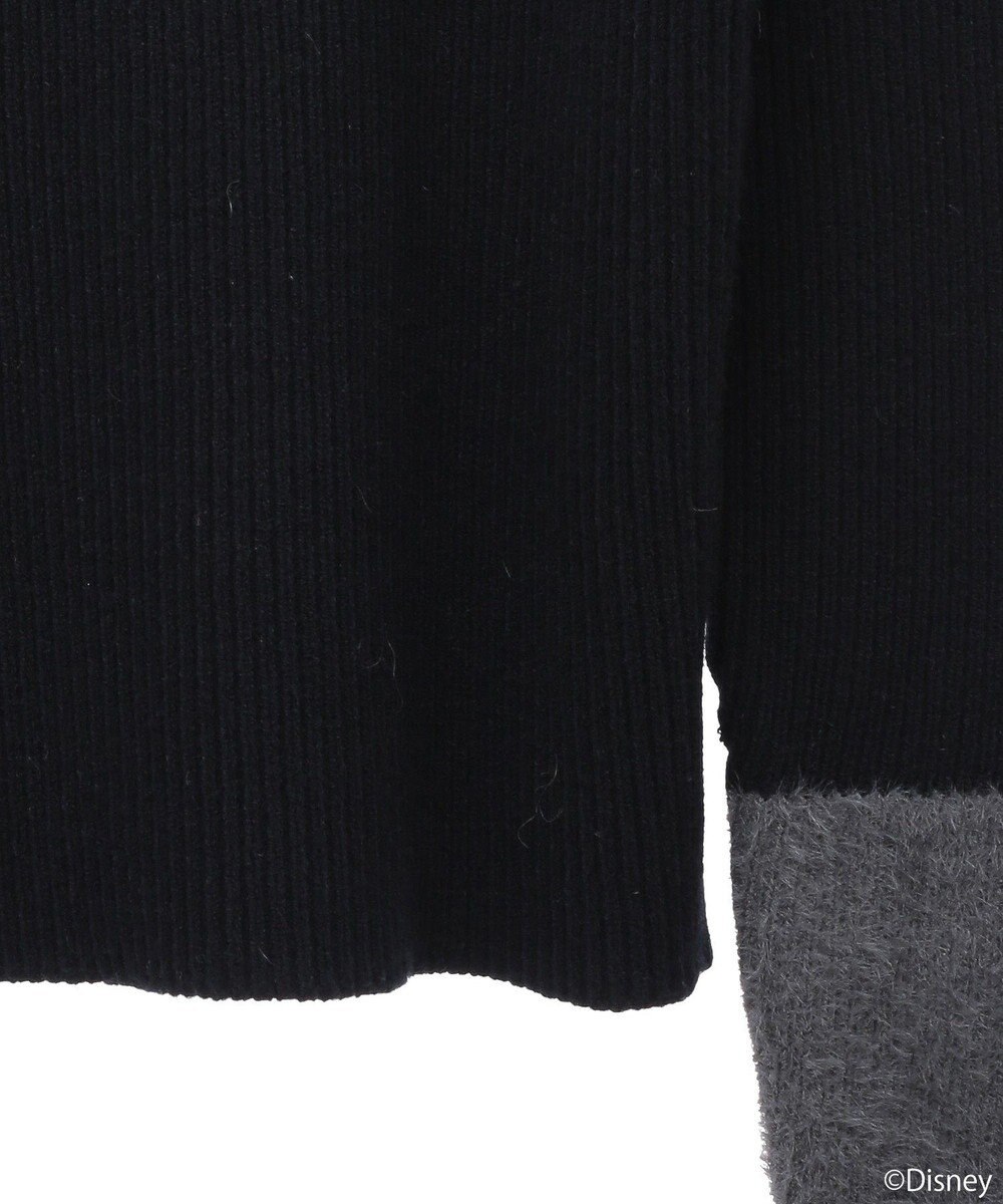 earth music&ecology Ｄｉｓｎｅｙ／フィガロ刺繍袖フェザーニット 