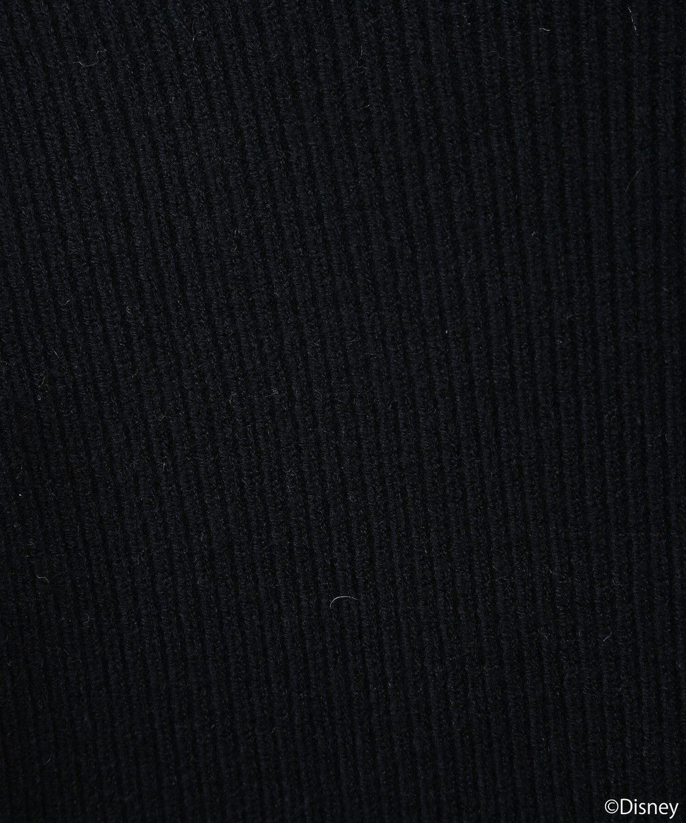 earth music&ecology Ｄｉｓｎｅｙ／フィガロ刺繍袖フェザーニット 