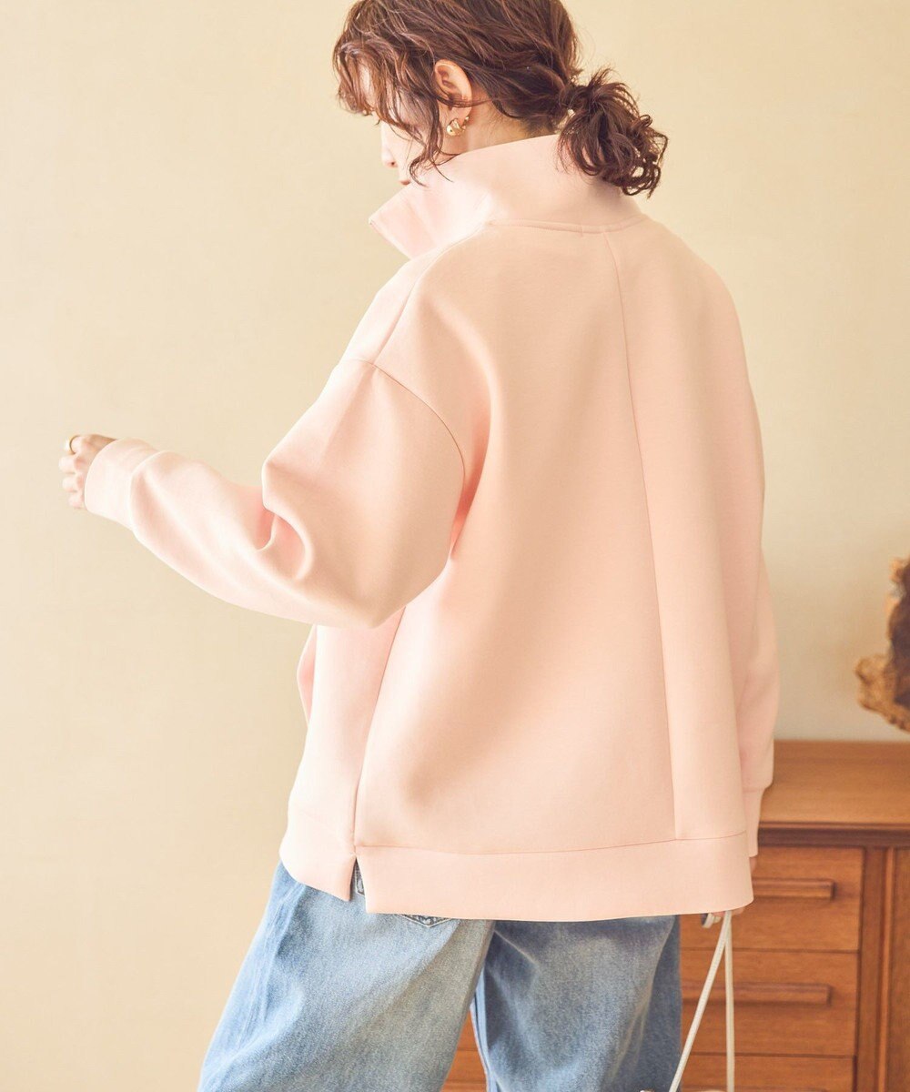 AMERICAN HOLIC ハーフＺＩＰポンチプルオーバー 