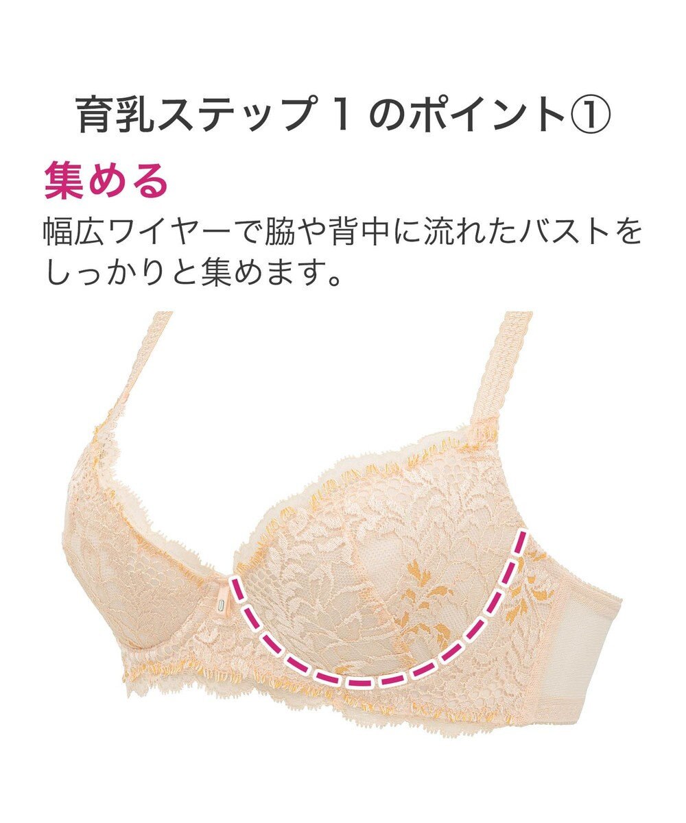 BRADELIS New York 【BRADELIS New York】ウェンディステップ１ブラ23S2 ふんわり包んで土台を作る育乳補整ブラ 