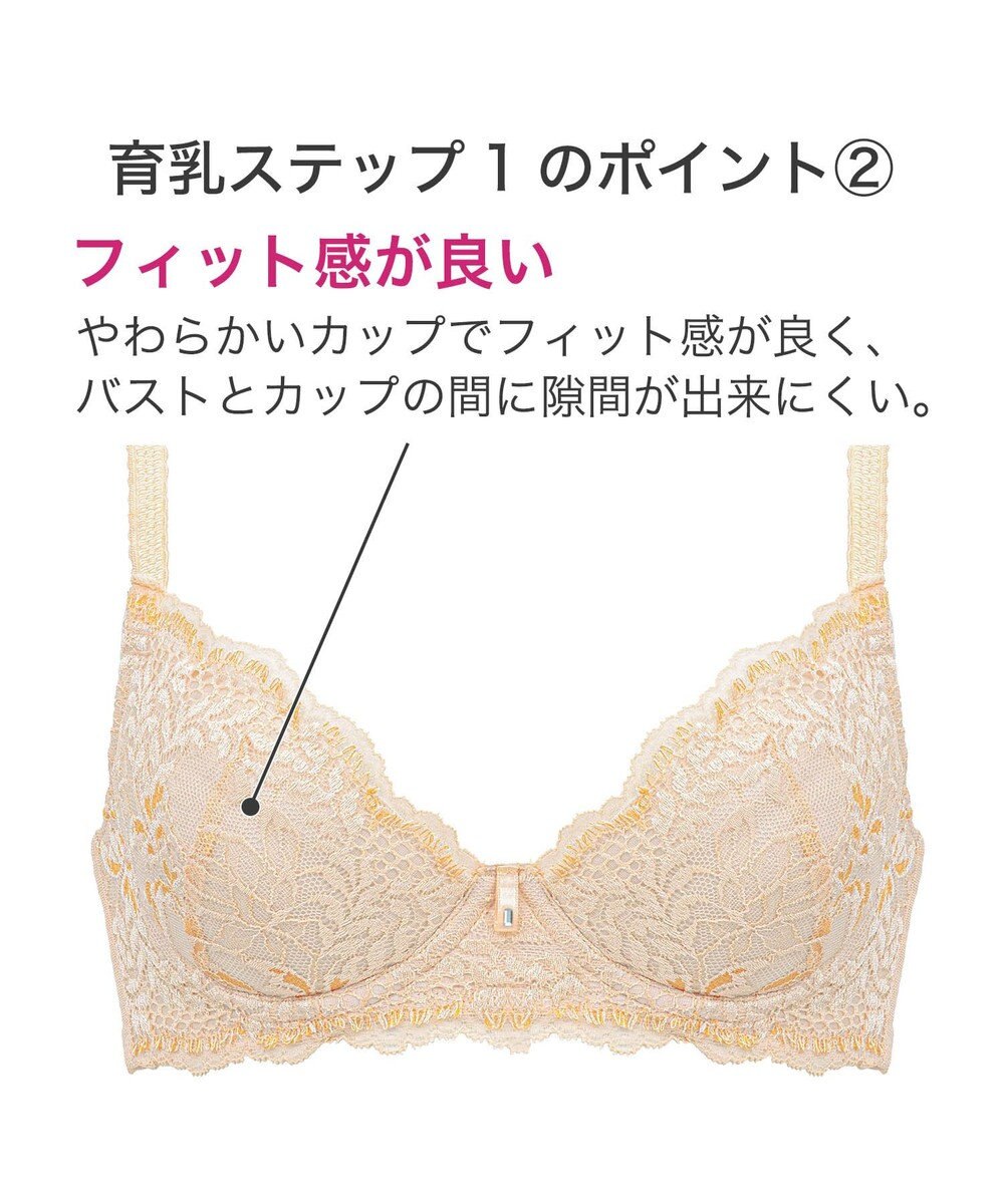BRADELIS New York 【BRADELIS New York】ウェンディステップ１ブラ23S2 ふんわり包んで土台を作る育乳補整ブラ 