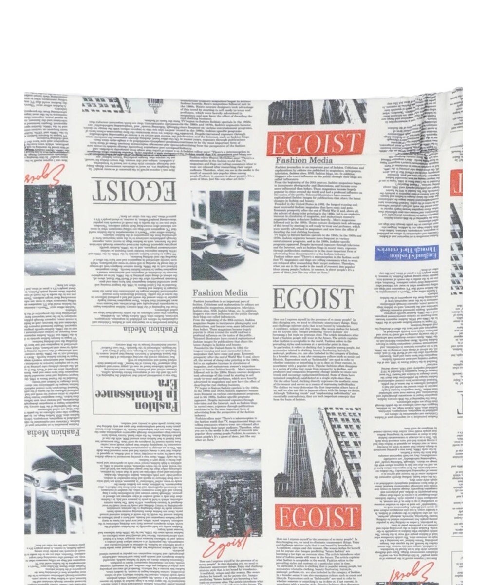 Green Parks ＥＧＯＩＳＴ　マガジンプリントスカート 