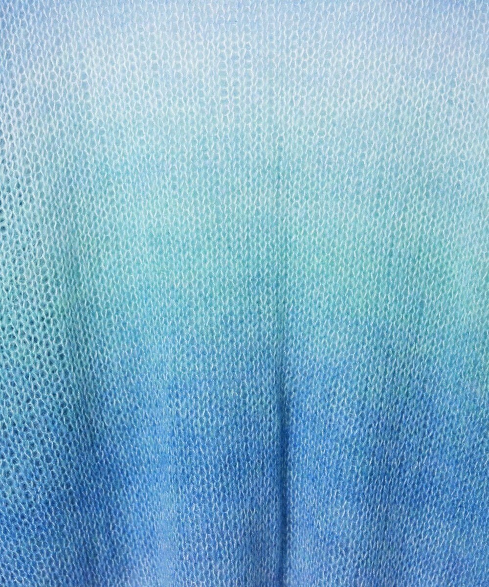 WEGO グラデーションメッシュニット 