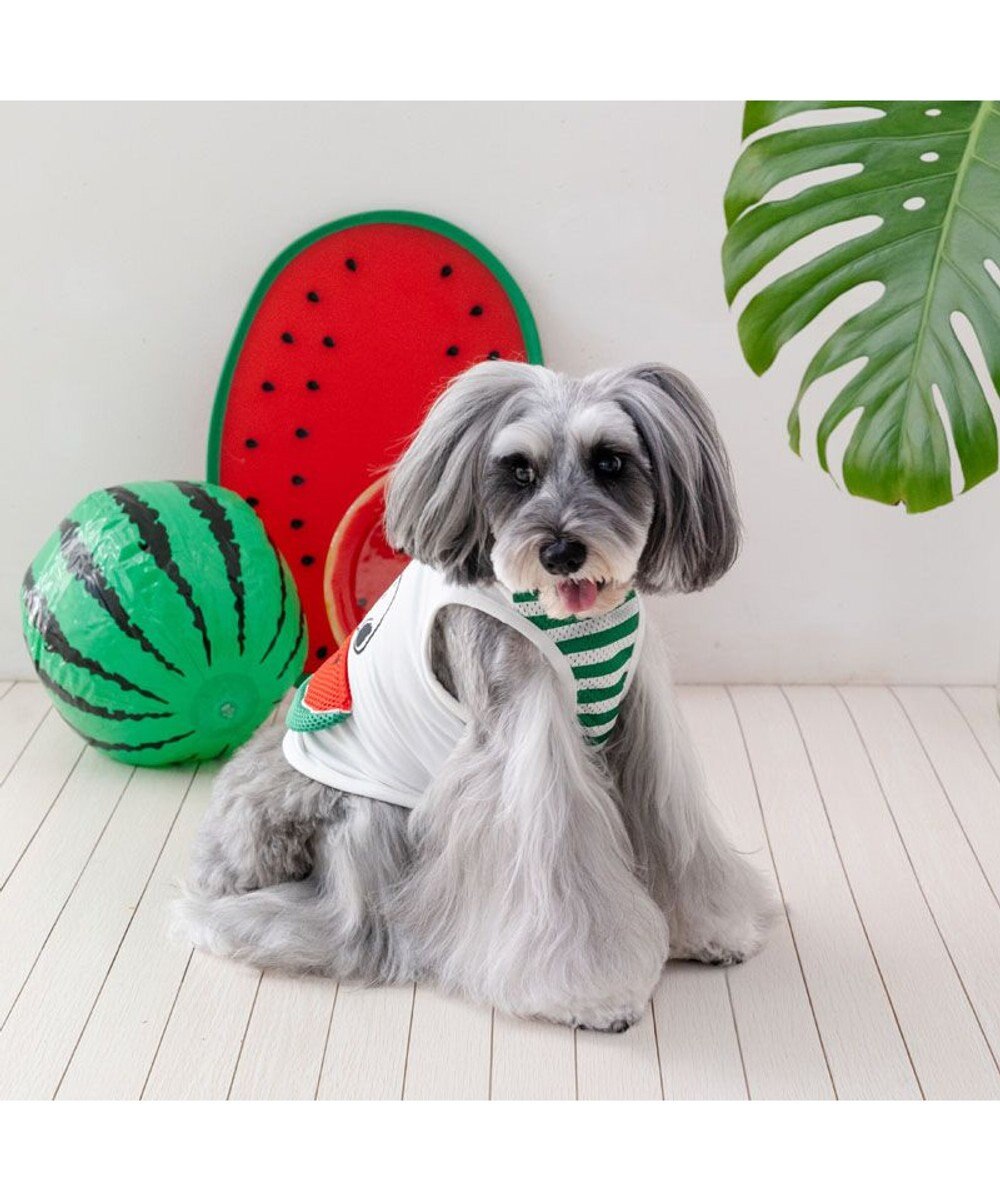 PET PARADISE  スヌーピー スイカポケット タンクトップ 小型犬 