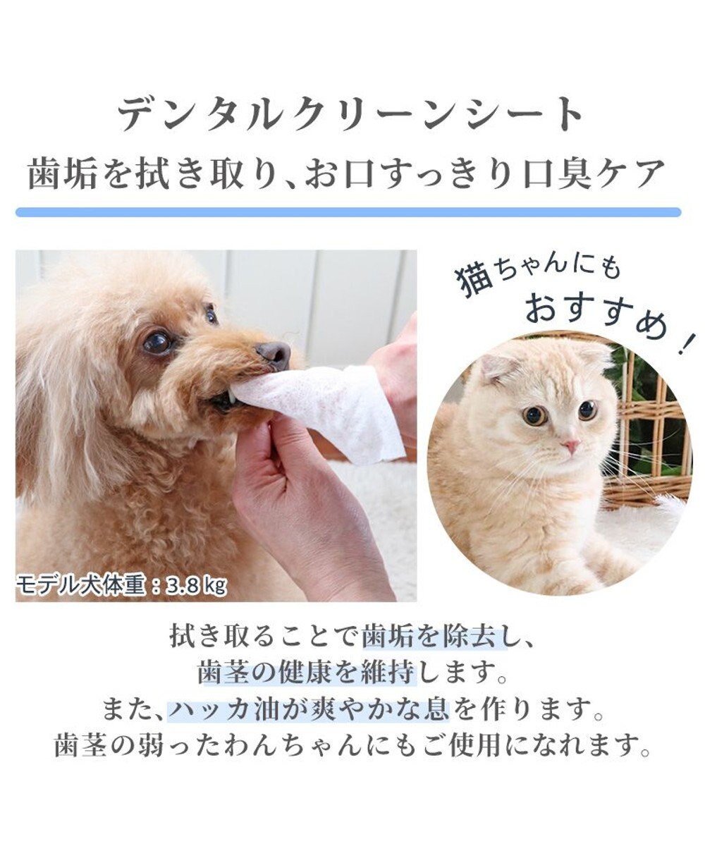 PET PARADISE 《リニューアル》デンタルクリーン シート（60枚入）  国産 