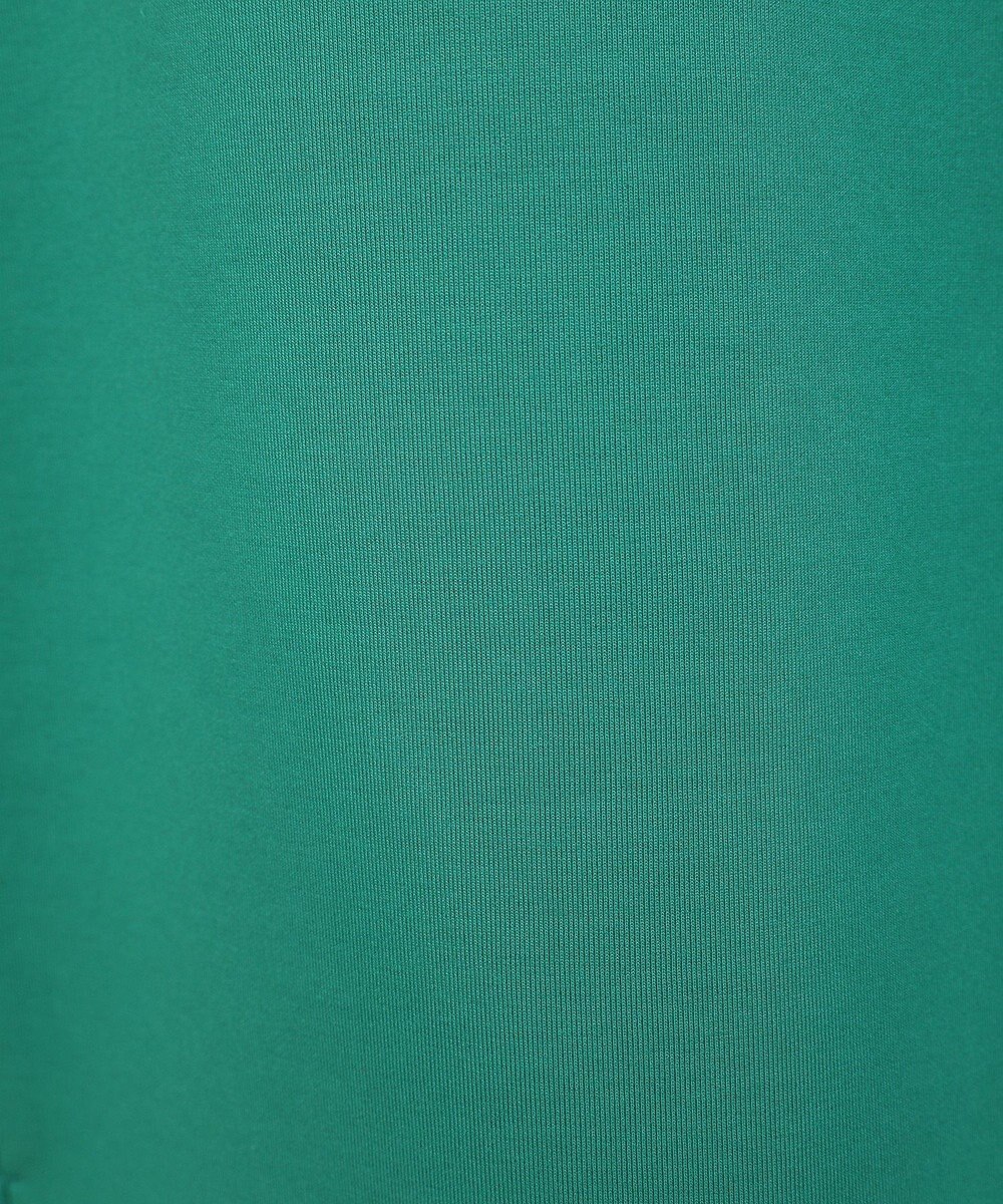 AMERICAN HOLIC ハーフＺＩＰポンチプルオーバー 