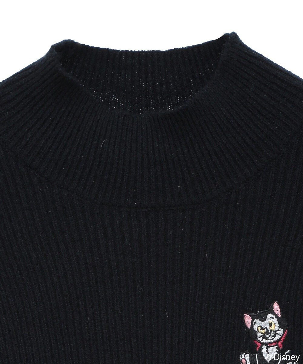 earth music&ecology Ｄｉｓｎｅｙ／フィガロ刺繍袖フェザーニット 