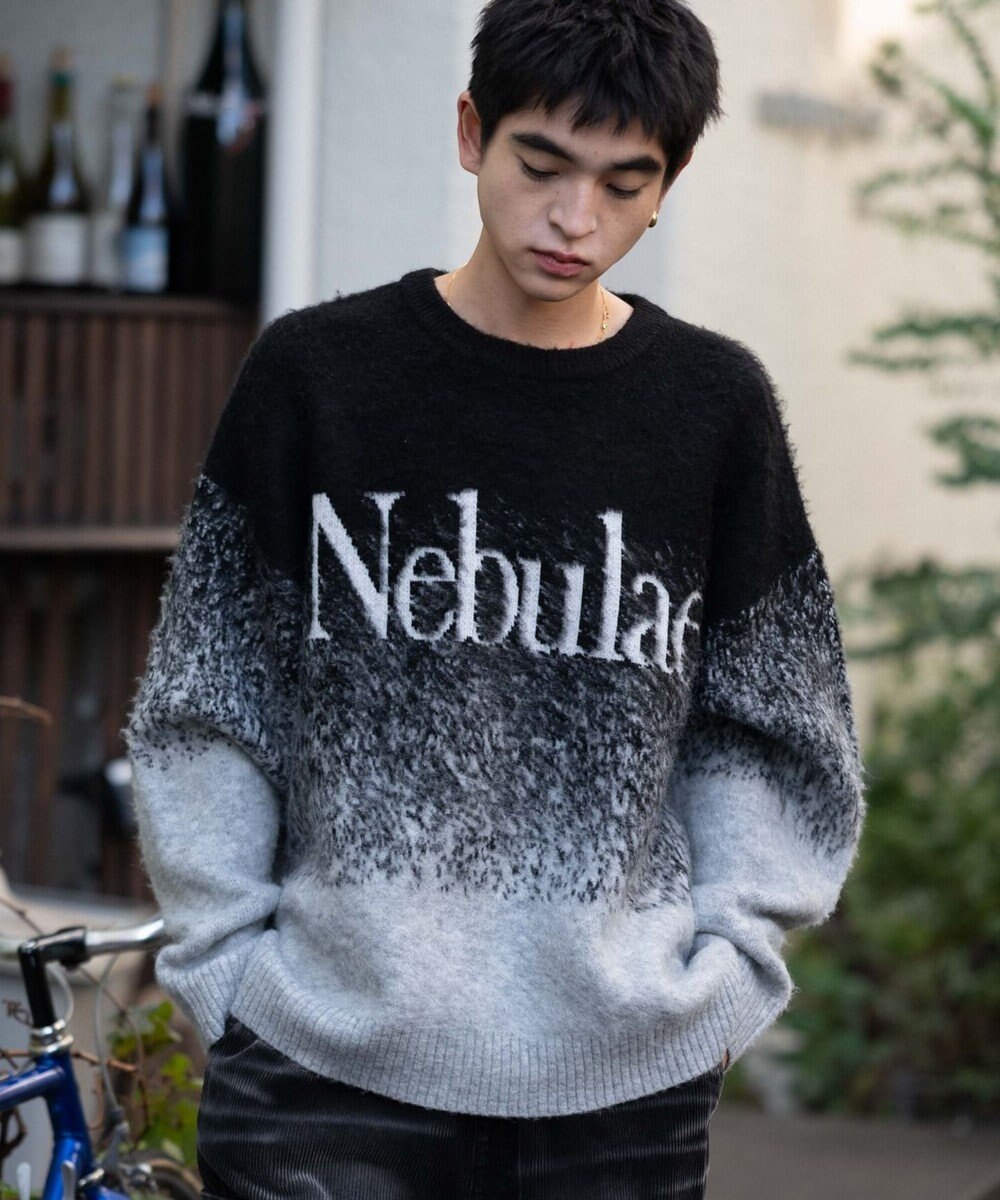 WEGO 【ユニセックス着用ITEM/MLサイズ展開】ファジーグラデーションプルオーバー 