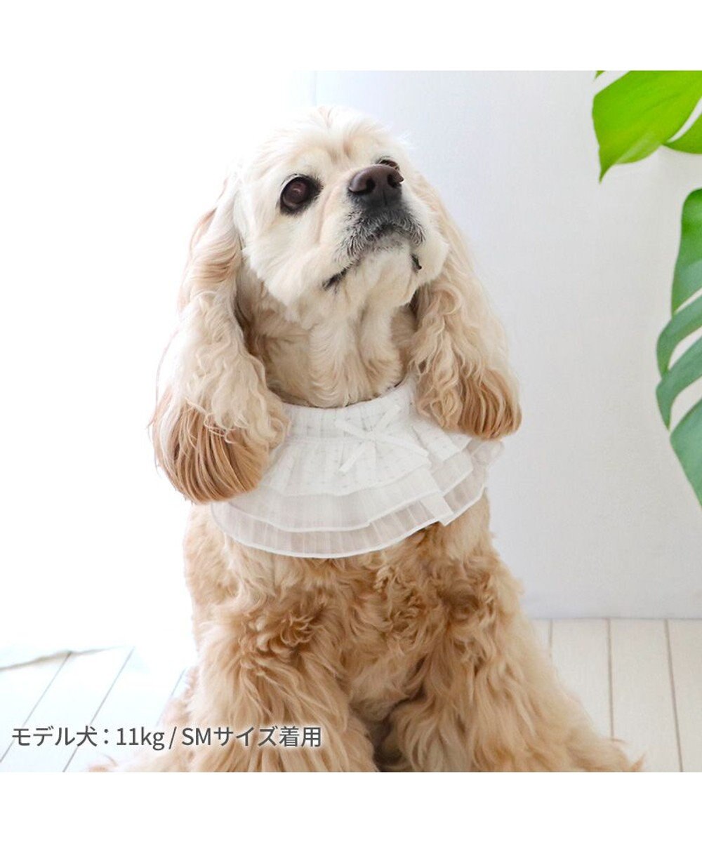 PET PARADISE ペットパラダイス クールバンダナ 《フリル》 中型犬 