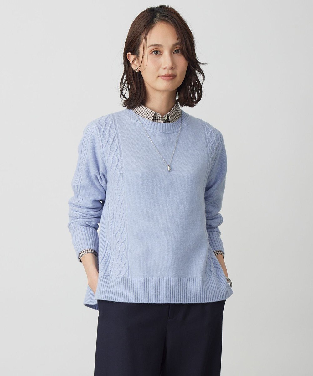 J.PRESS LADIES L 【WEB限定カラーあり】CAT クルーネック ニット 