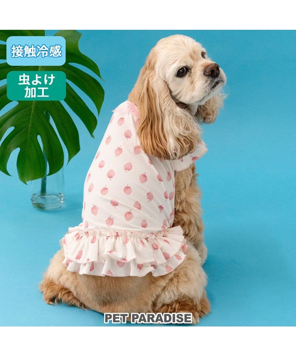 PET PARADISE ペットパラダイス タッチワンクールプラス Tシャツ 《いちご》 中型犬 大型犬 
