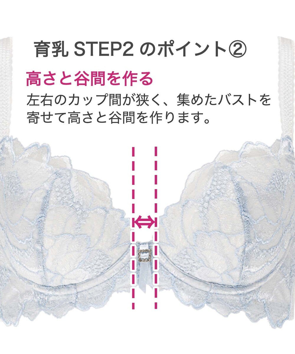 BRADELIS New York 【BRADELIS New York / 育乳ブラ・STEP2 寄せる】　ベルステップ2ブラ22A1 