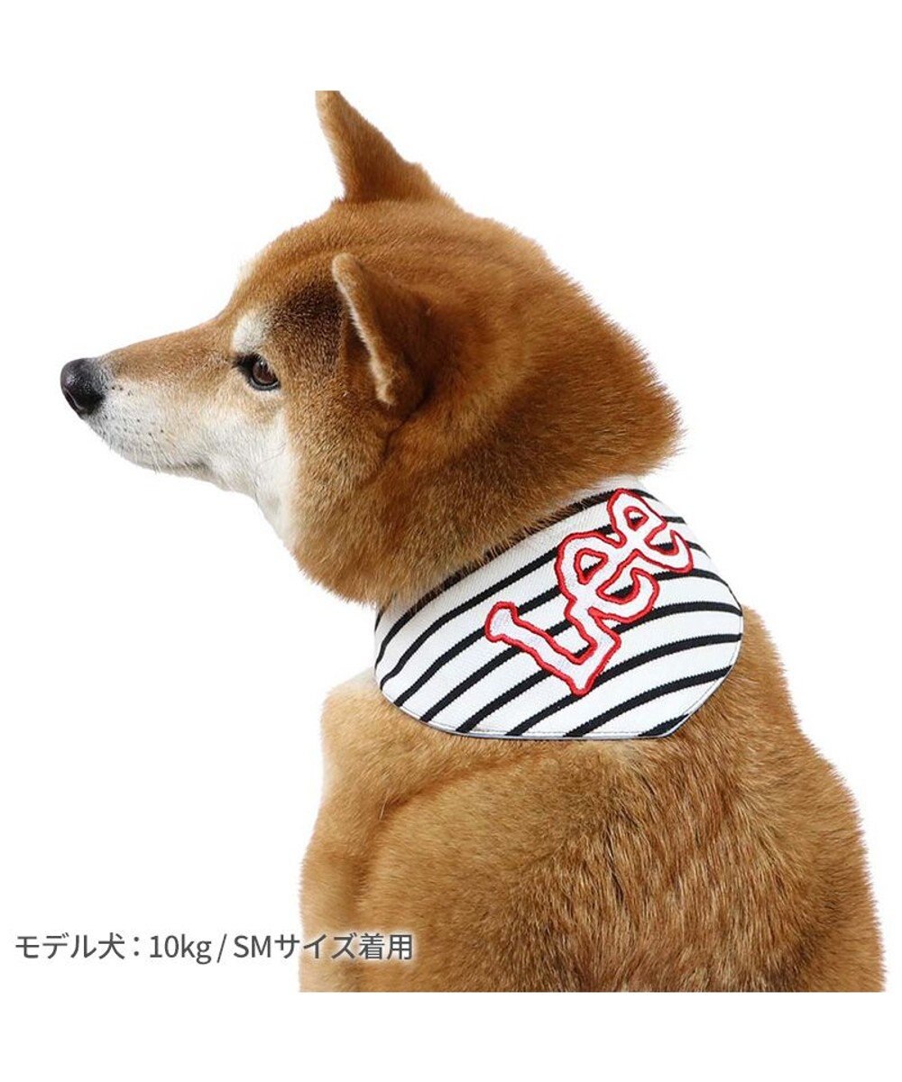 PET PARADISE Ｌｅｅ 冷感バンダナ 《ボーダー》 中型犬 